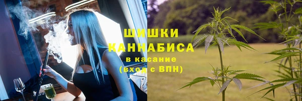 шишки Алексеевка