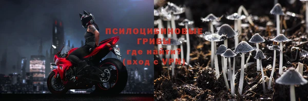 дживик Алзамай