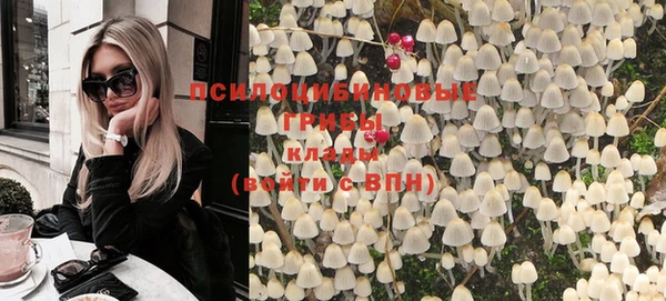 шишки Алексеевка