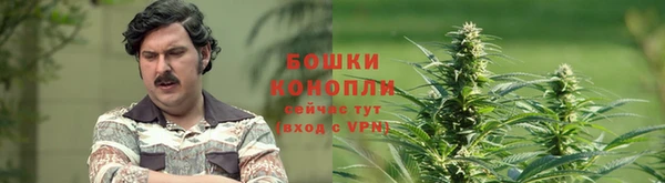 шишки Алексеевка