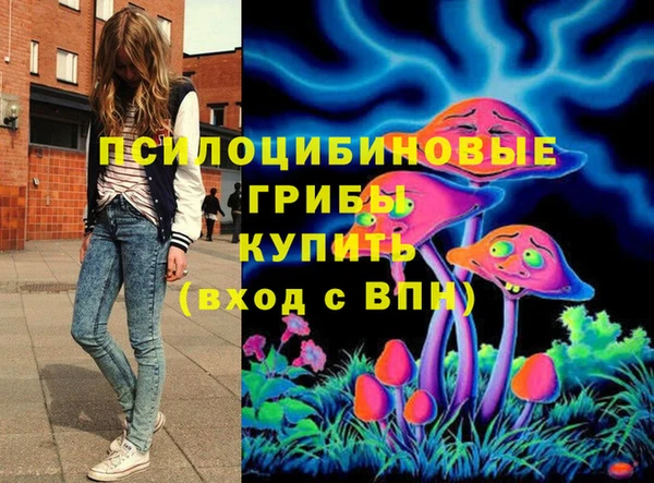 дживик Алзамай