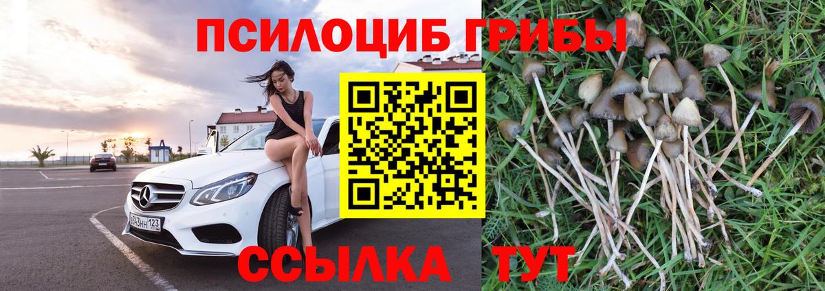 Псилоцибиновые грибы GOLDEN TEACHER Североуральск