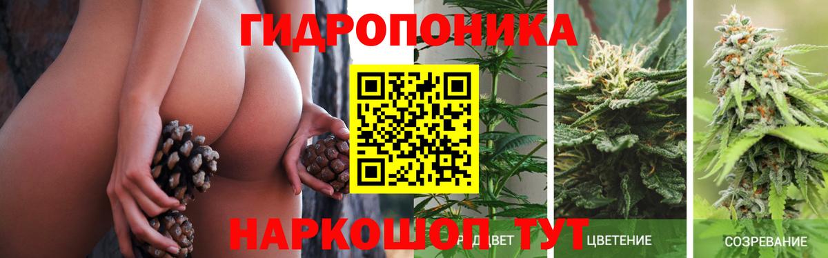 Каннабис OG Kush  Шишки марихуана планчик  Вход с VPN  Североуральск 